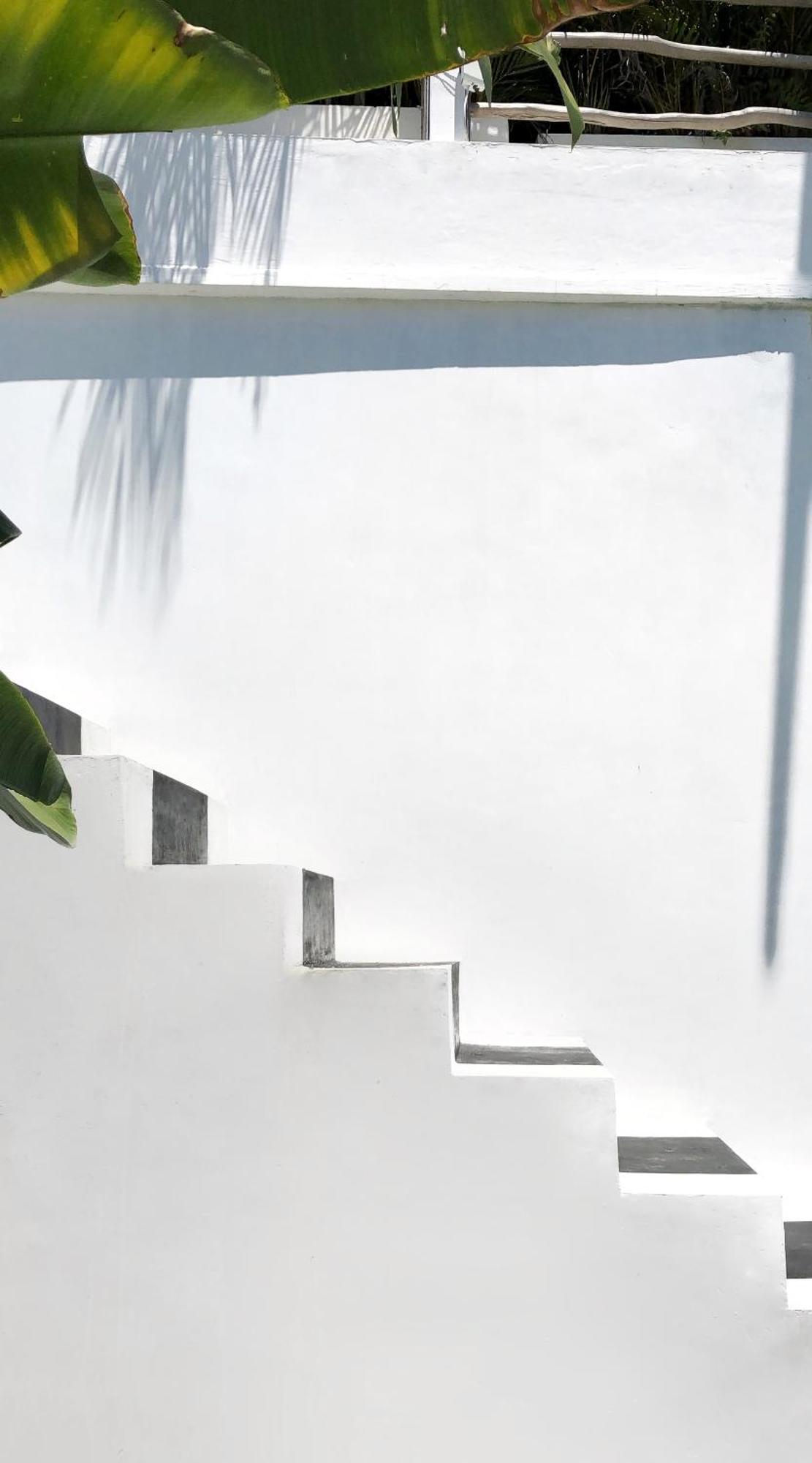 White Palm Hotel Uluwatu Bali 짐바란 외부 사진